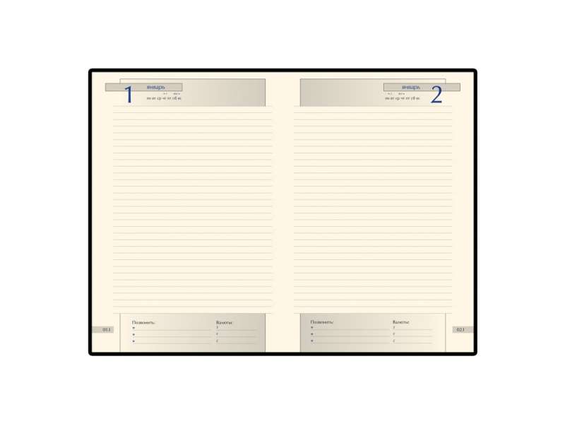 Ежедневник А5 полудатированный Imperium, коричневый (уголки и срез золото) №2