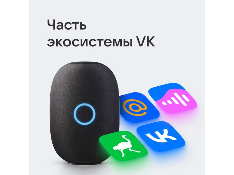 Умная колонка VK Капсула с голосовым помощником Марусей, черный №9