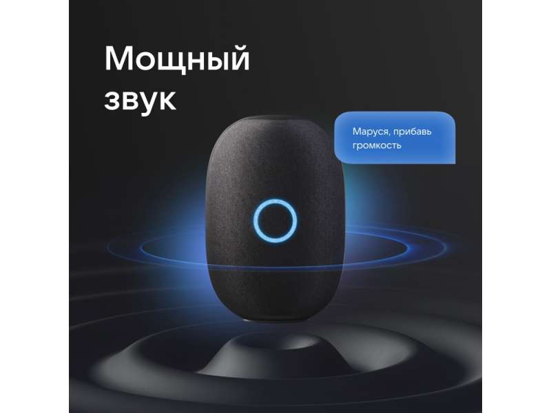 Умная колонка VK Капсула с голосовым помощником Марусей, черный №8