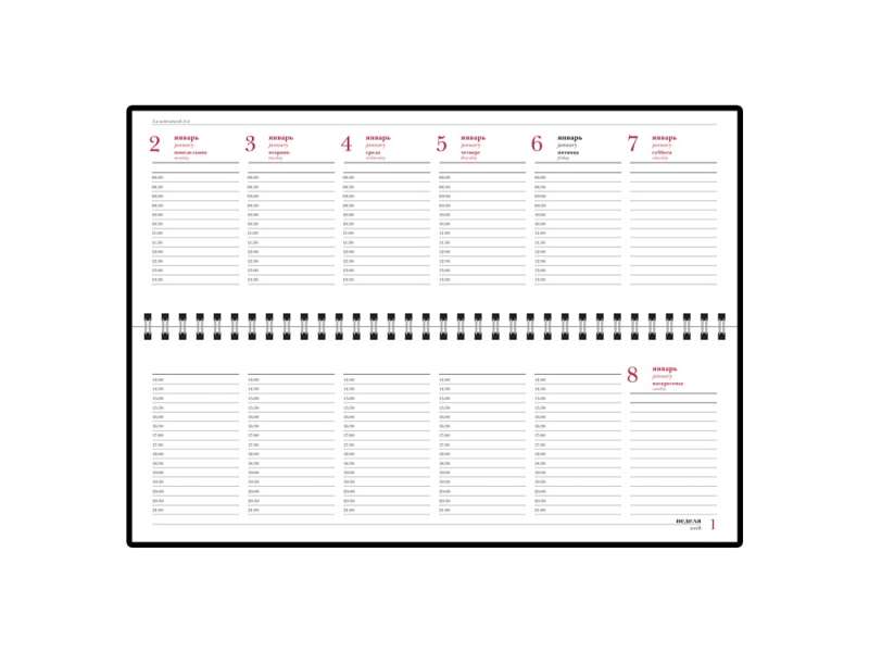 Планинг датированный Ideal New 2025, черный №2