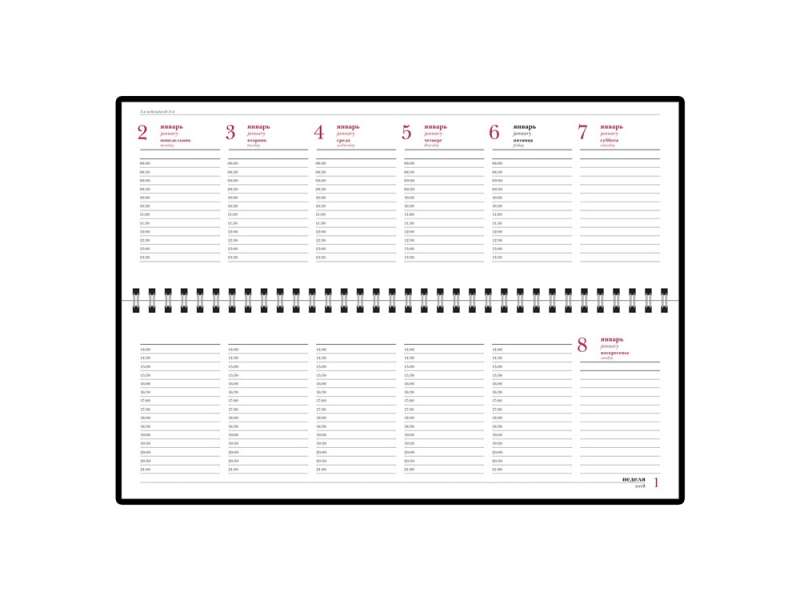 Планинг датированный Velvet 2025, черный №2