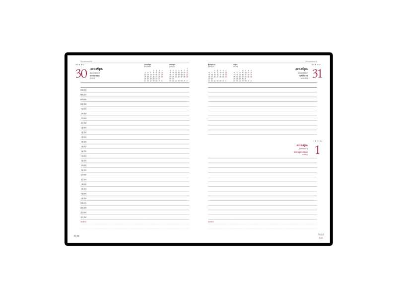 Ежедневник А5 датированный Sidney Nebraska 2025, коричневый (золотой обрез) №2