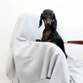 Плед PATIO, серый №4