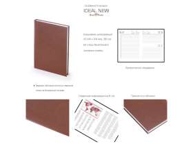 Ежедневник датированный А5 Ideal New 2025, черный (Р) №3