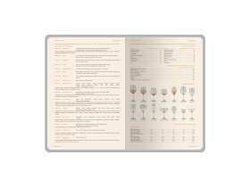 Ежедневник А5 датированный Boston 2026, бордовый с серым обрезом №4