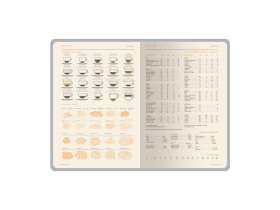 Ежедневник А5 датированный Boston 2026, фиолетовый с салатовым обрезом №3